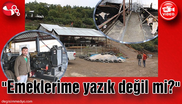 "Emeklerime yazık değil mi?"