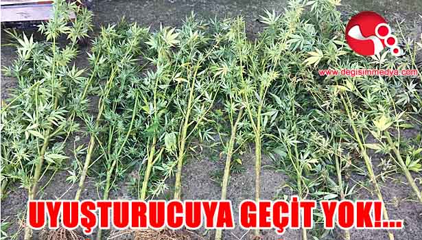 Ekiplerin UYUŞTURUCUYA geçidi yok!...