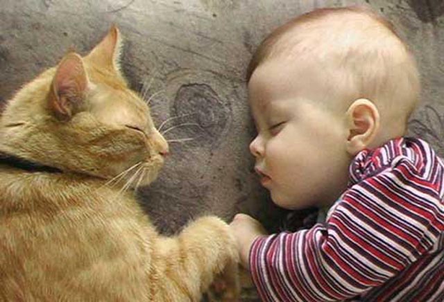 3 çocuk ve 30 kediyle yaşıyorlar...