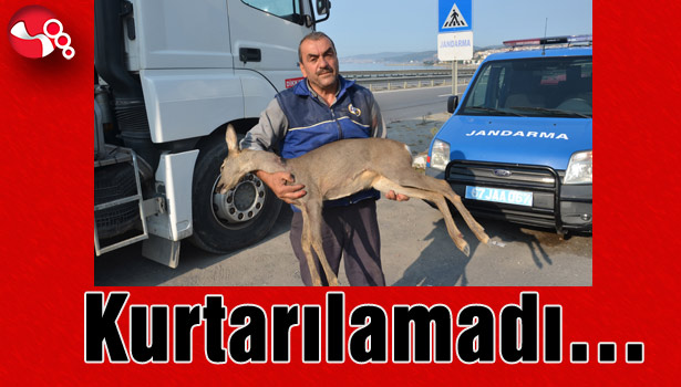Kurtarılamadı