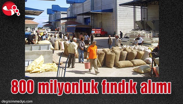 800 milyonluk fındık alımı