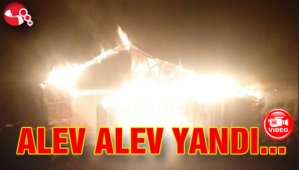 Kereste fabrikası alev alev yandı