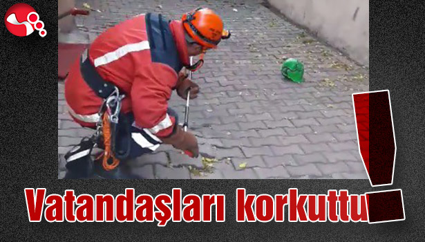 ZEHİRLİ YILAN KORKUTTU