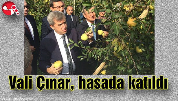 VALİ ÇINAR, HASADA KATILDI