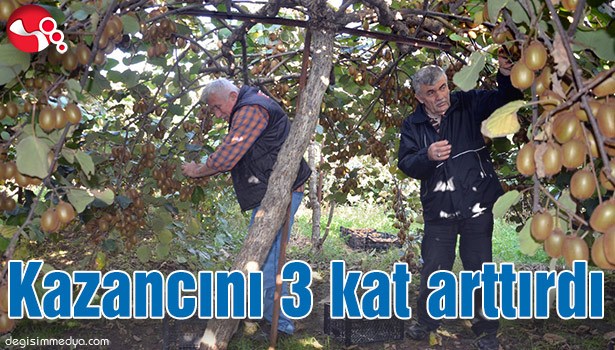 KAZANCINI 3 KAT ARTTIRDI