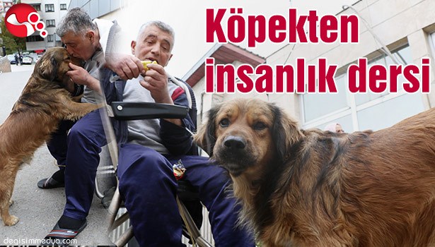 KÖPEKTEN İNSANLIK DERSİ