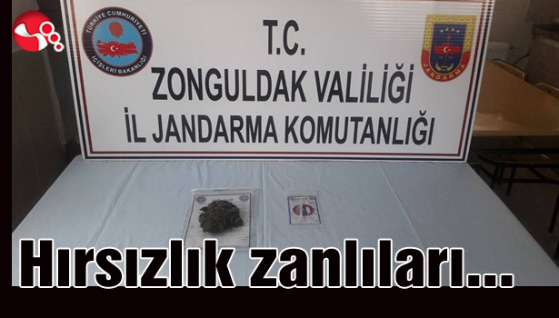 Hırsızlık zanlıları...