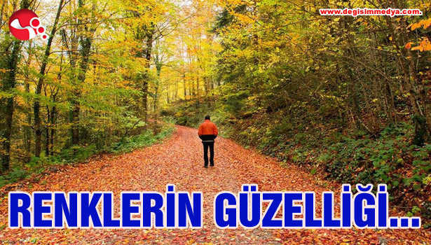 Renklerrin Güzelliği...