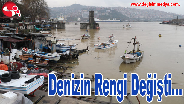 Denizin Rengi Değişti...