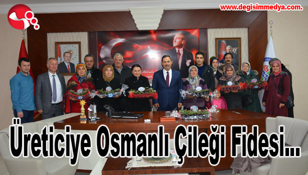 Üreticiye Osmanlı Çileği Fidesi...