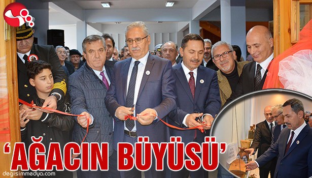 'AĞACIN BÜYÜSÜ' SERGİSİ AÇILDI...