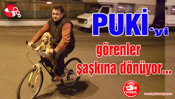 PUKİ' yi görenler şaşkına dönüyor...