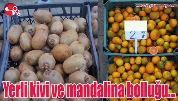 Yerli kivi ve mandalina bolluğu...