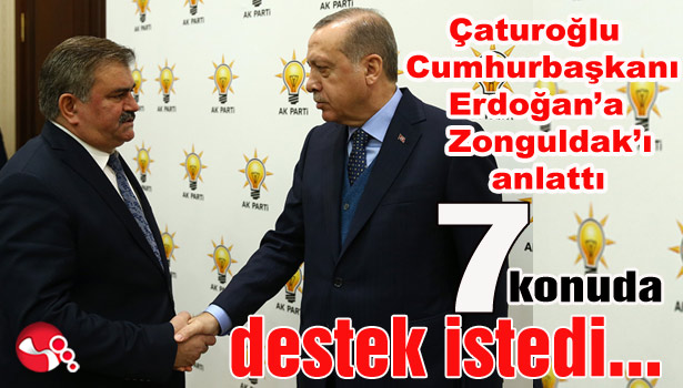 Çaturoğlu Cumhurbaşkanı Erdoğan'a Zonguldak'ı anlattı...