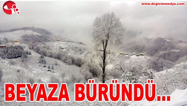 Beyaza Büründü...