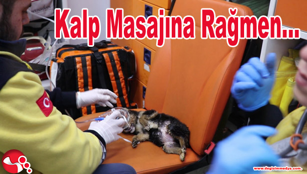 Kalp Masajına Rağmen...