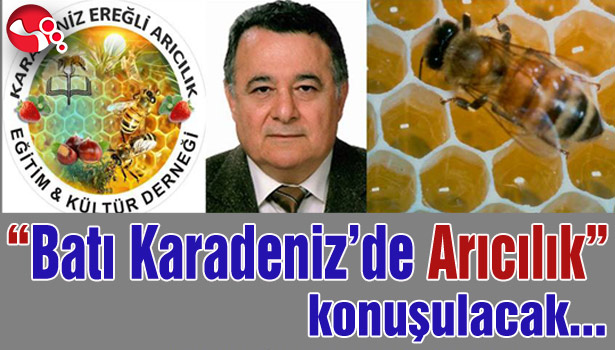 "Batı Karadeniz'de Arıcılık" konuşulacak!