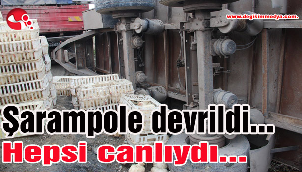Tır şarampole devrildi...