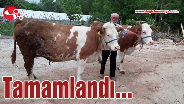 Tamamlandı...