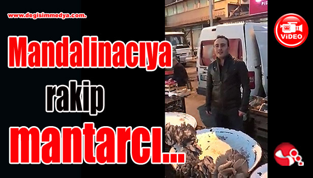 Mandalinacıya yeni rakip...