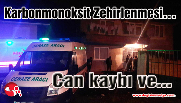 Karbonmonoksit Zehirlenmesi...