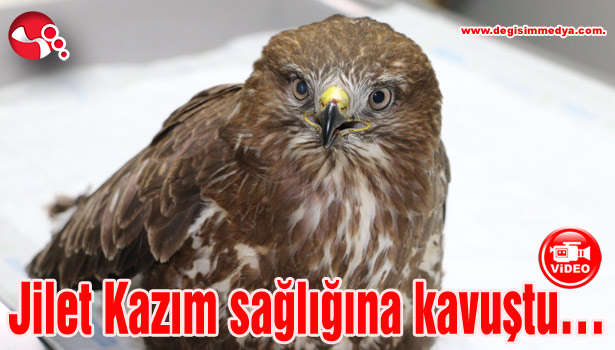 Jilet Kazım sağlığına kavuştu...