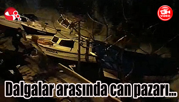 Dalgalar arasında can pazarı...