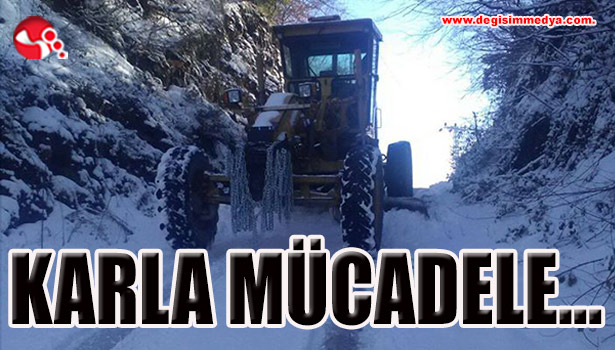 Karla mücadele çalışmaları...