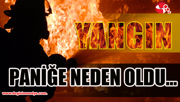 Paniğe Neden Oldu...