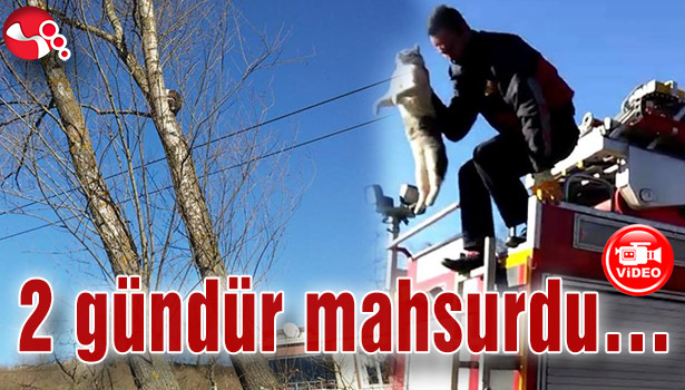 2 gündür mahsurdu...