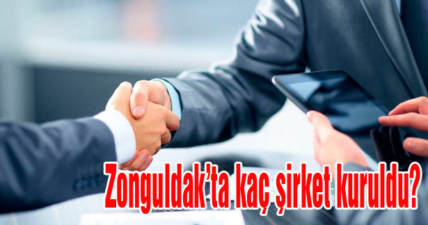 Zonguldak'ta kaç şirket kuruldu?