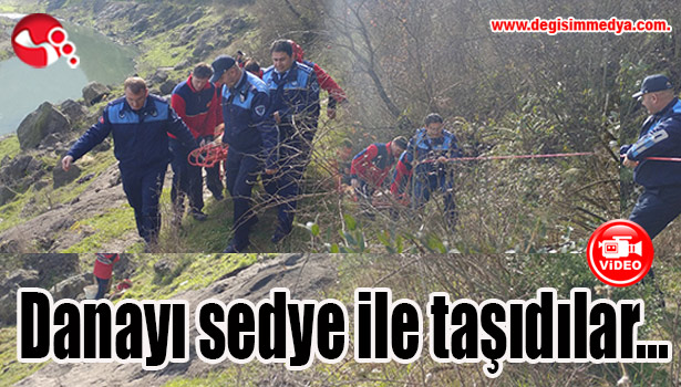 Danayı sedye ile taşıdılar...