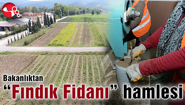 Bakanlıktan "Fındık Fidanı" hamlesi