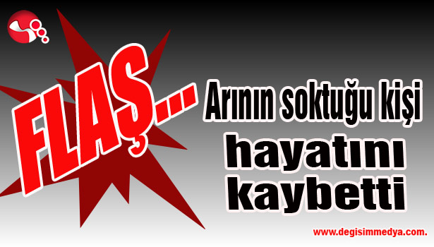 Arının soktuğu kişi hayatını kaybetti...