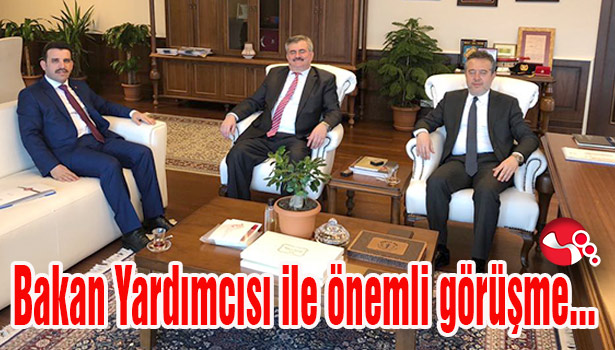 Bakan Yardımcısı ile önemli görüşme...