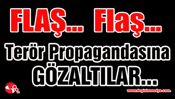 Terör Propagandasına Gözaltılar...