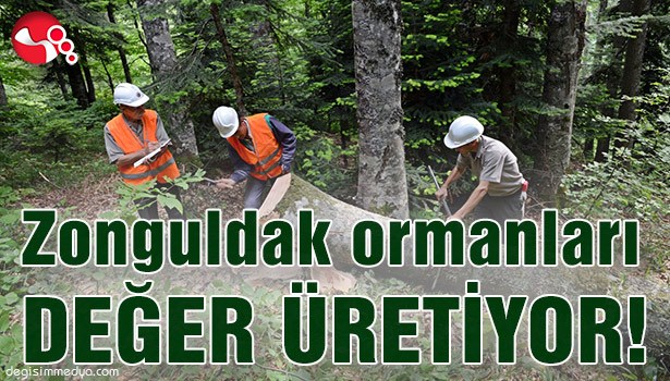 Zonguldak ormanları değer üretiyor!