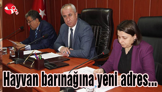 Hayvan barınağına yeni adres...