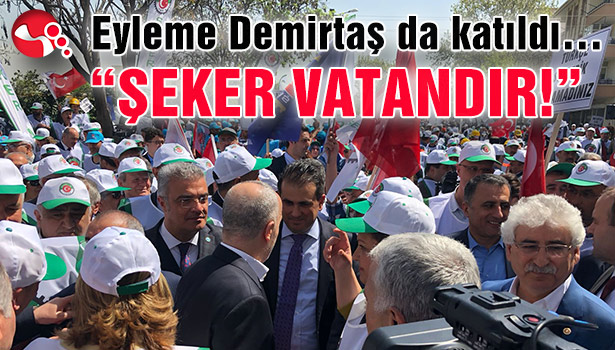 "ŞEKER VATANDIR!"