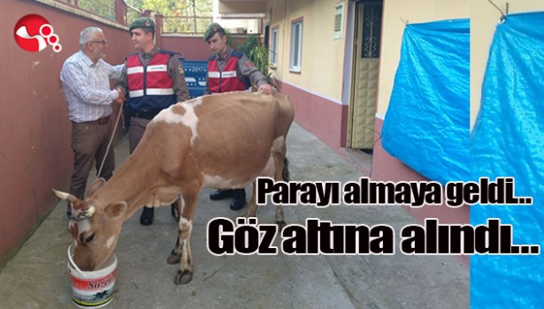 Parayı almaya geldi... Göz altına alındı...