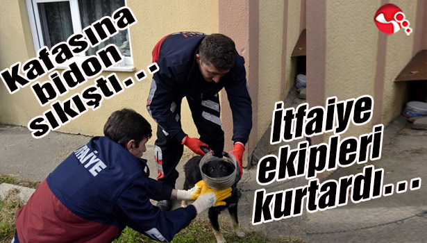 Kafasına bidon sıkıştı... İtfaiye ekipleri kurtardı...