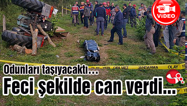Odunları taşıyacaktı... Feci şekilde can verdi...