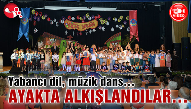 Yabancı dil, müzik dans...