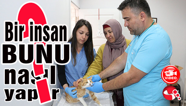 Bunu yapan insan olamaz!..