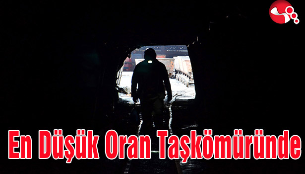 En Düşük Oran Taşkömüründe