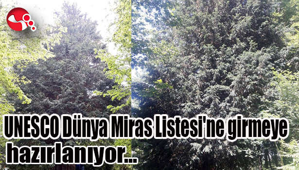 UNESCO Dünya Miras Listesi'ne girmeye hazırlanıyor...