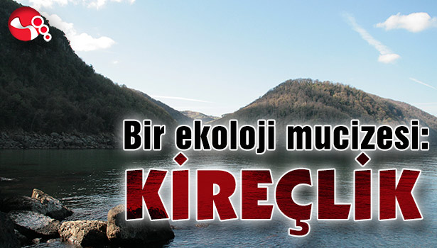 Bir ekoloji mucizesi: KİREÇLİK
