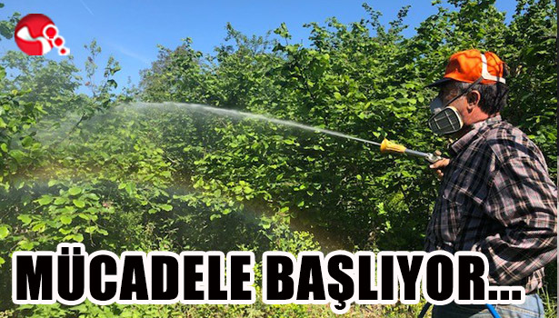 Mücadele başlıyor...