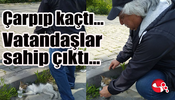 Çarpıp kaçtı... Vatandaşlar sahip çıktı...