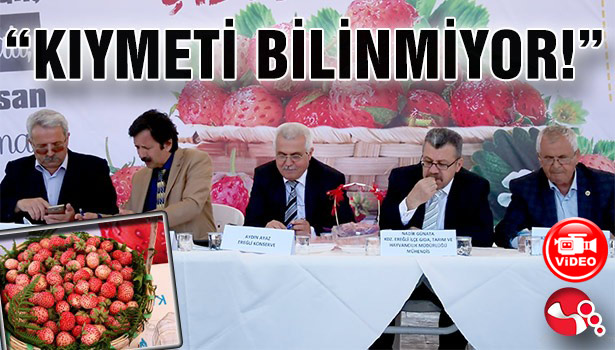 Kdz Ereğli'de Osmanlı Çileği Şenliği etkinlikleri... "KIYMETİ BİLİNMİYOR!"